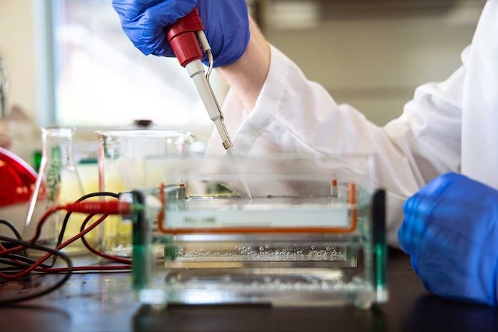 A person wearing blue gloves and a lab coat uses a pipette to add liquid to a gel electrophoresis chamber in a laboratory setting, with beakers and other lab equipment in the background.