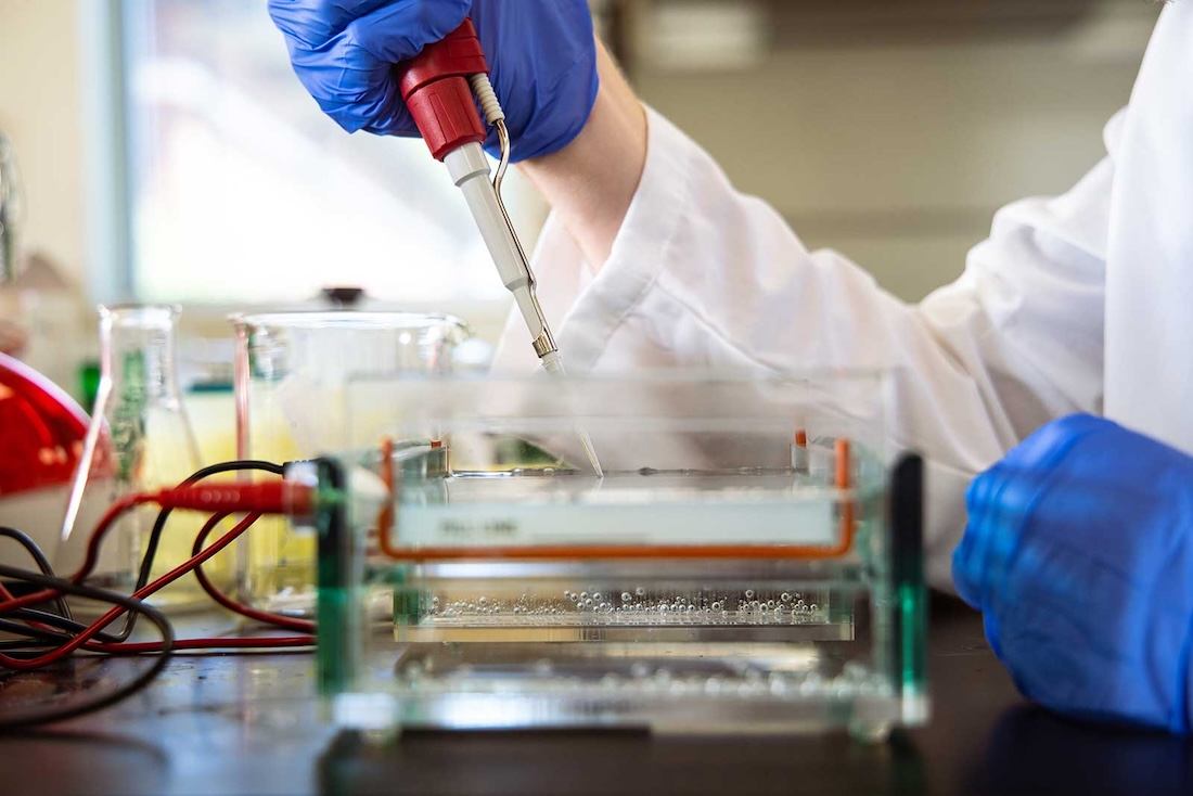 a student performing a chemistry experiment