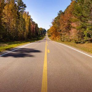 A straight, empty road stretches into the distance, flanked by autumn trees with green, yellow, and orange leaves under a clear blue sky.