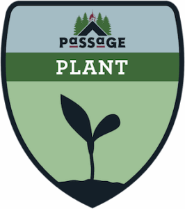 A shield-shaped badge with the word PLANT above a black seedling silhouette. At the top, theres a logo with trees, a building, and the text Passage. The background is green and light green.