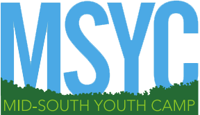 Blue letters MSYC with a green, grass-like edge below the letters. Underneath, MID-SOUTH YOUTH CAMP is written in smaller green text. The background is transparent.
