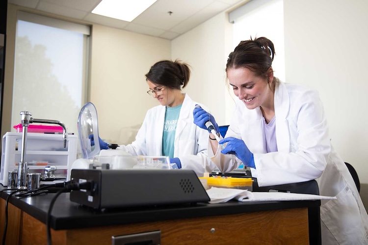 Two women in lab coats and blue gloves work at a laboratory bench. One uses a pipette while smiling, and the other prepares materials nearby. The room is bright with natural light from large windows.