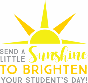 A stylized yellow sun with rays above the words Send a little sunshine to brighten your students day! written in gray and yellow text.
